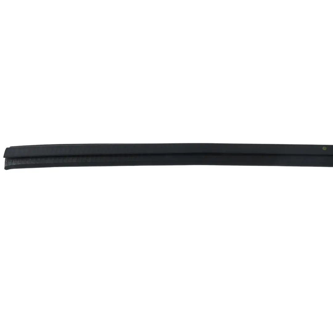 Ford Kuga C520 Front Door Window Seal Gasket Lower Left N/S CJ54-S20571-AH - SKU 5276031 - Part number 5276031