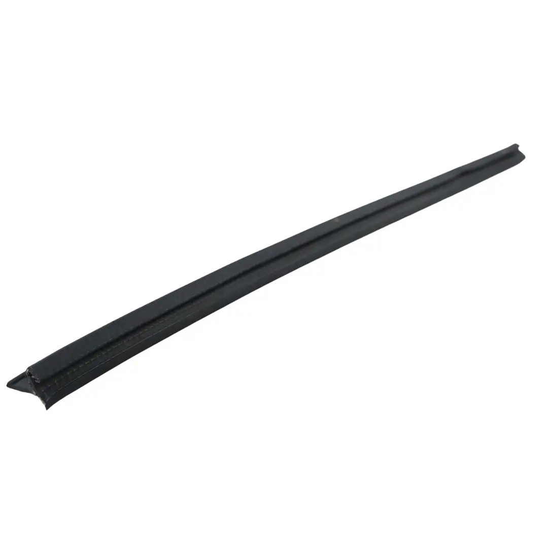 Ford Kuga C520 Front Door Window Seal Gasket Lower Left N/S CJ54-S20571-AH - SKU 5276031 - Part number 5276031