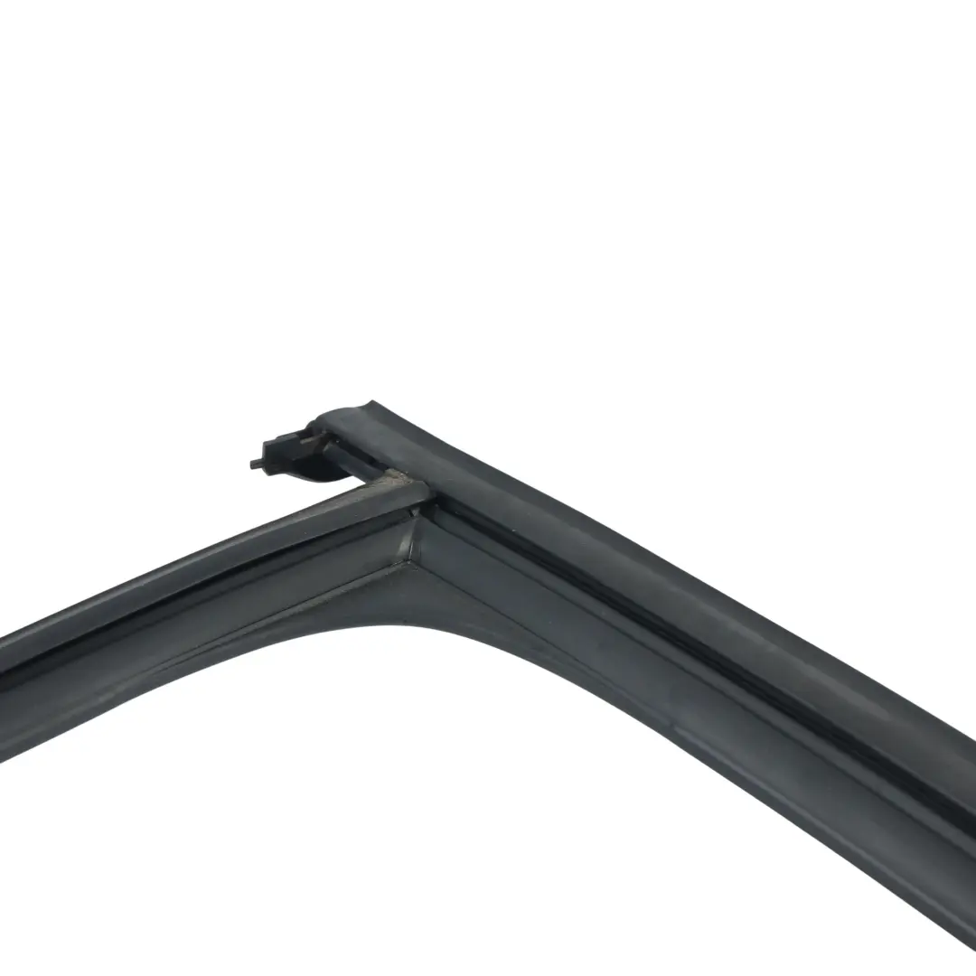 Door Window Guide Run Channel Sedan Rear Left N/S to Skoda Octavia RS 5E with Part number 5E5839431D Skoda Octavia RS 5E Door Window Guide Run Channel Sedan Rear Left N/S - SKU 5E5839431D - Part number 5E5839431D