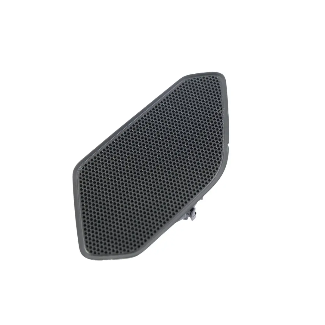 Altavoz Agudos Trasero Izquierdo para Volkswagen Tiguan AD1 con número de pieza 5NA868159C Volkswagen Tiguan AD1 Altavoz Agudos Trasero Izquierdo - SKU 5NA868159C - Número de pieza 5NA868159C