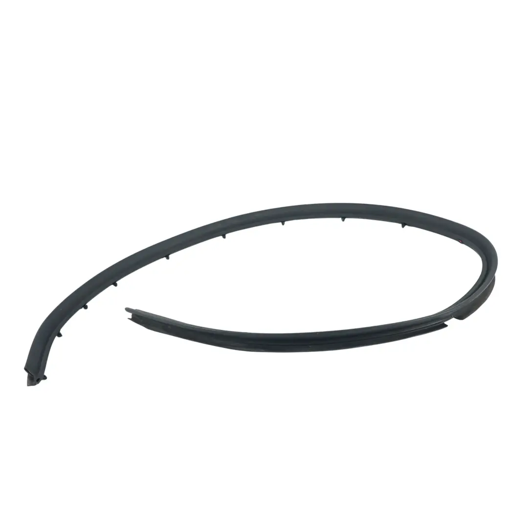 Volkswagen Polo 6R Junta Burlete Puerta Trasera Exterior Derecha - SKU 6R6839698A - Número de pieza 6R6839698A