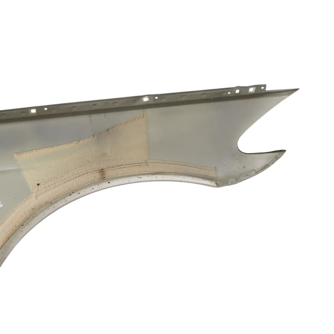 BMW F10 F11 Błotnik Lewy Kaschmirsilber A72 - SKU 7207207-KAS - Numer Części 7207207