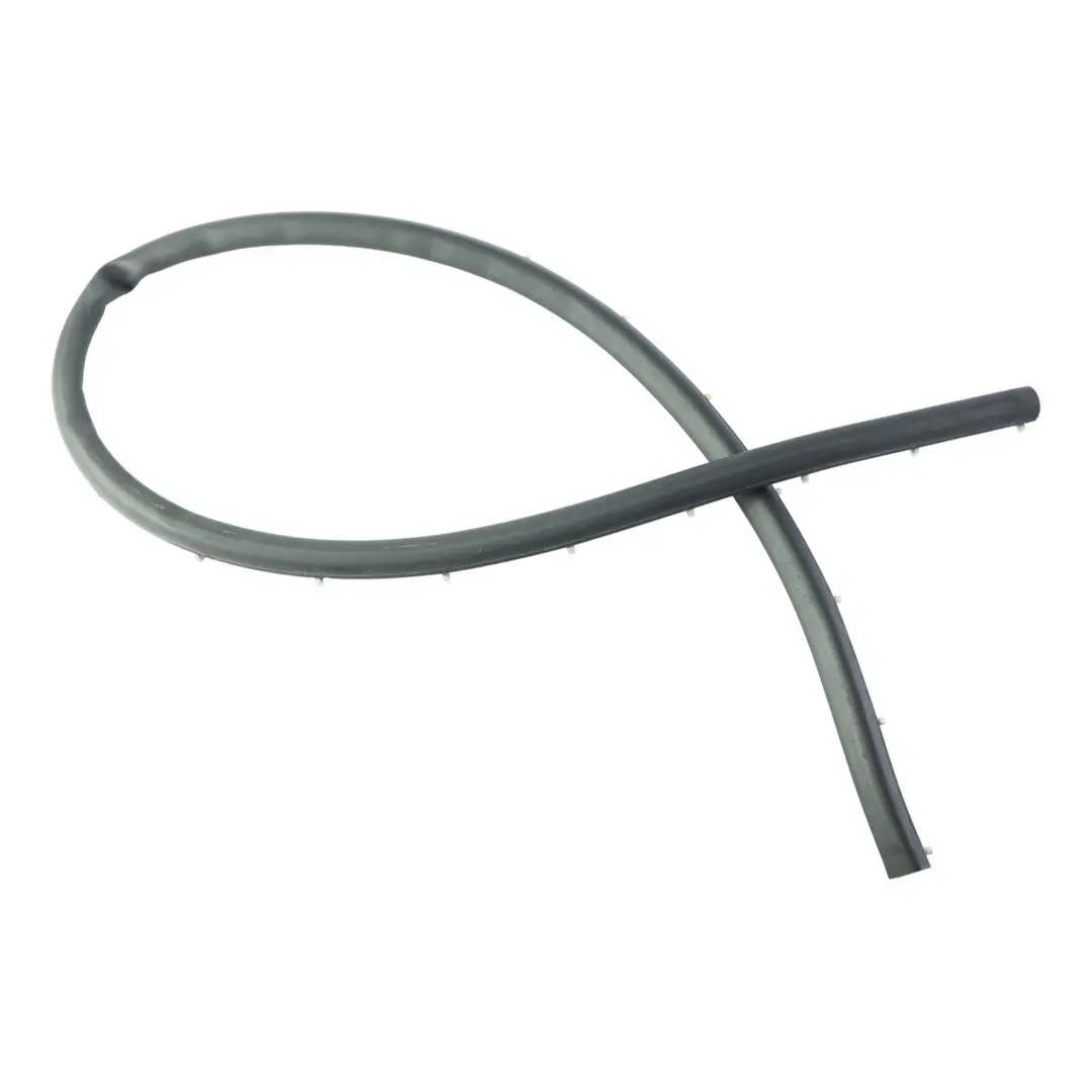 BMW F46 Gran Tourer Rear Door Seal Joint Rubber Gasket Left Right N/O/S - SKU 7316810 - Part number 7316810