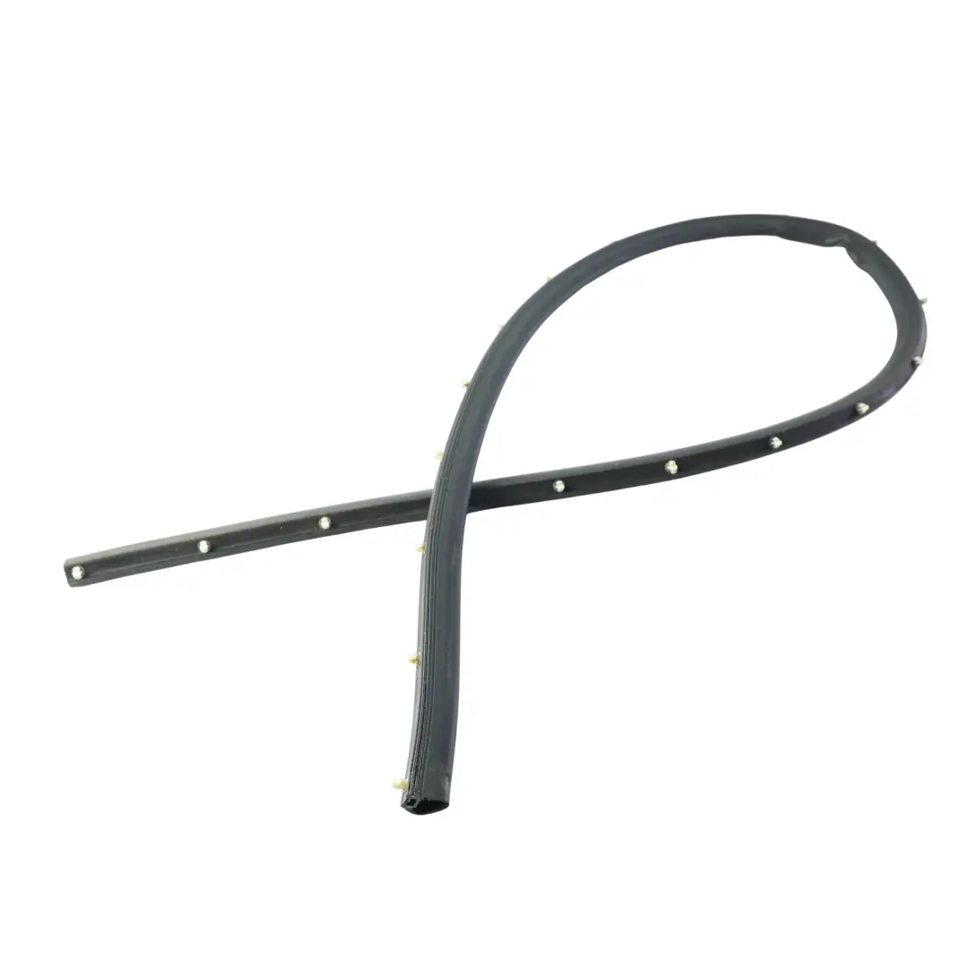 BMW F46 Gran Tourer Joint Caoutchouc Porte Arrière Gauche Droite - SKU 7316810 - Numéro de pièce 7316810