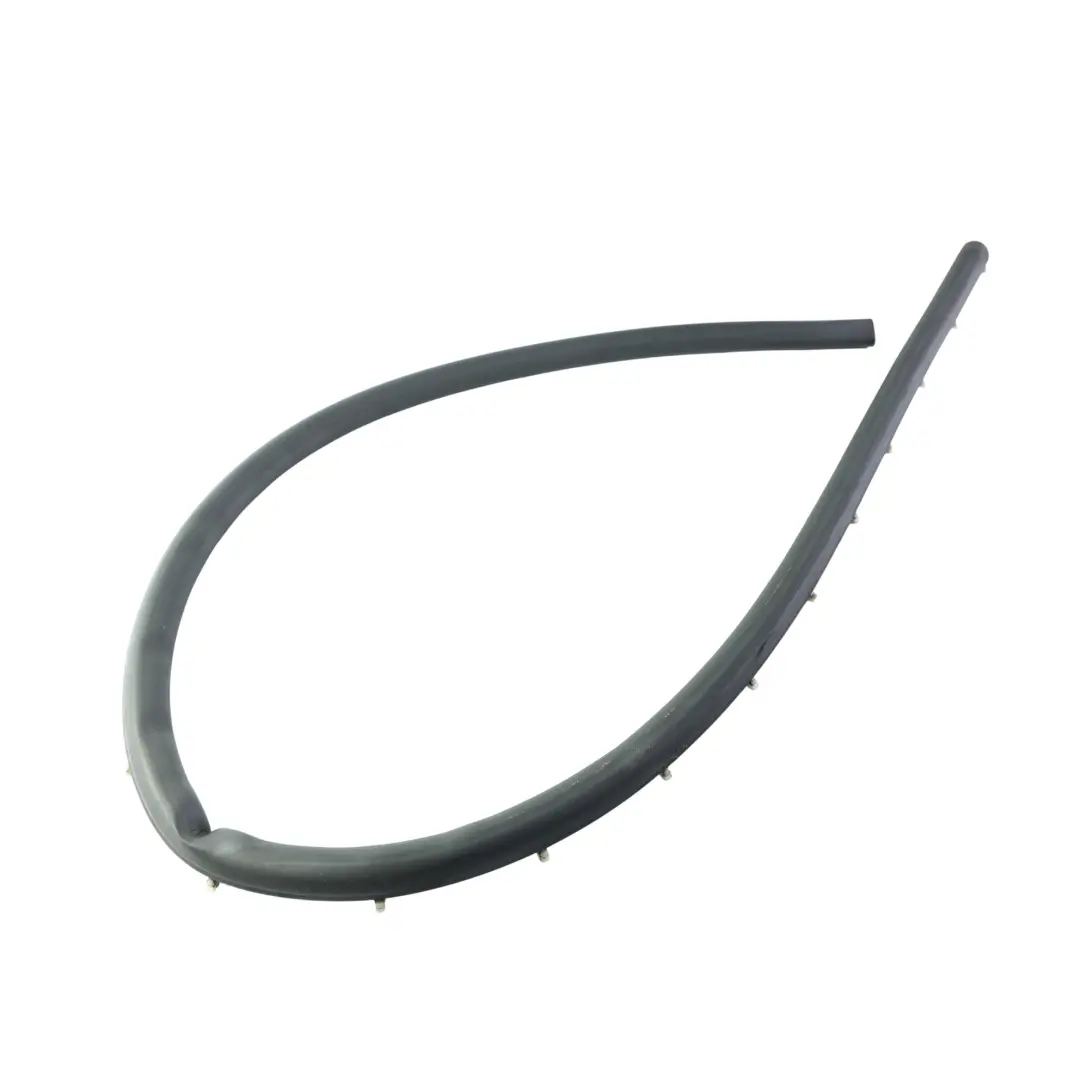 BMW F46 Gran Tourer Rear Door Seal Joint Rubber Gasket Left Right N/O/S - SKU 7316810 - Part number 7316810