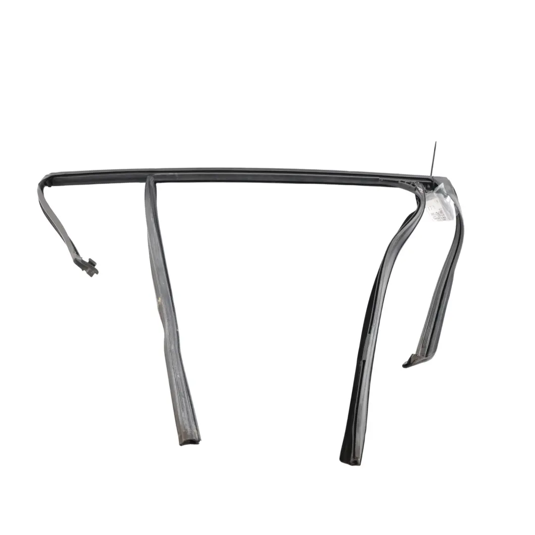 BMW X4 F26 Rear Door Window Seal Gasket Rubber Surround Sealing Left N/S - SKU 7335497 - Part number 7335497