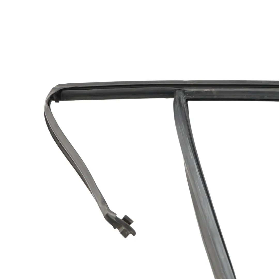 BMW X4 F26 Rear Door Window Seal Gasket Rubber Surround Sealing Left N/S - SKU 7335497 - Part number 7335497