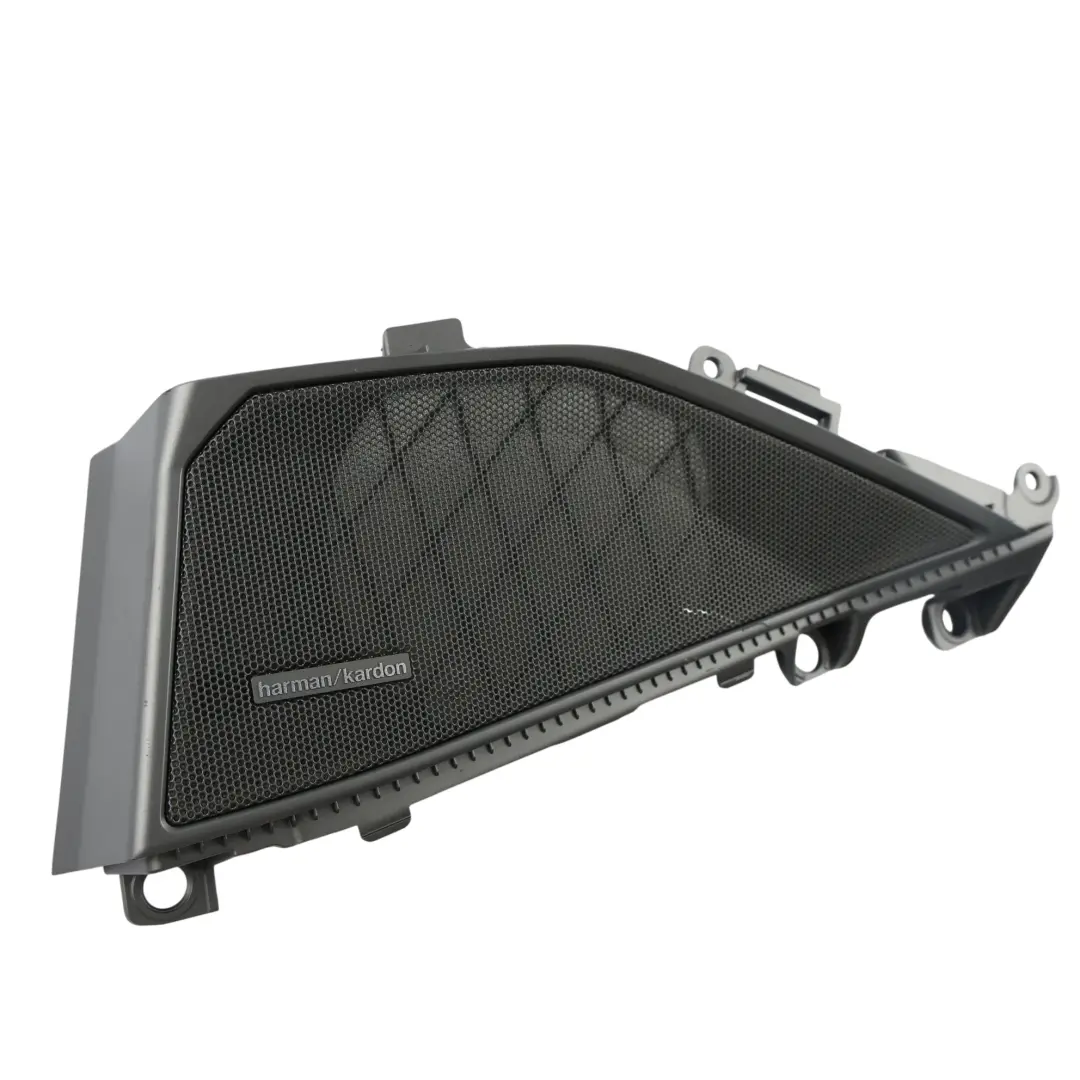 BMW G20 Grille Cache Haut-Parleur Porte Harman Kardon Arrière Droit - SKU 7447244 - Numéro de pièce 7447244