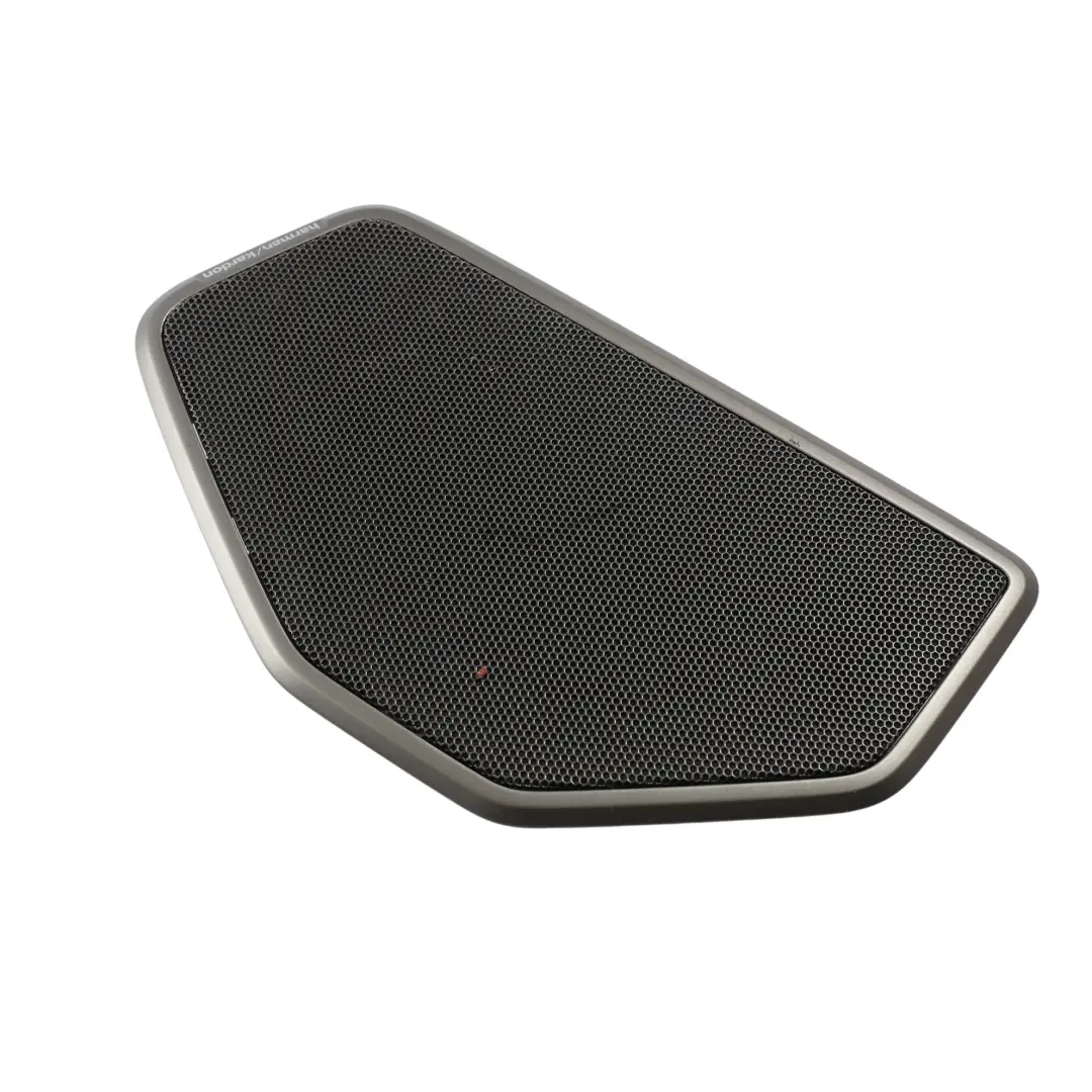 Griglia Copertura Altoparlante Posteriore Sinistra per BMW G20 G20 LCI F44 con numero di parte 7482401 BMW G20 G20 LCI F44 Griglia Copertura Altoparlante Posteriore Sinistra - SKU 7482401 - Numero di parte 7482401