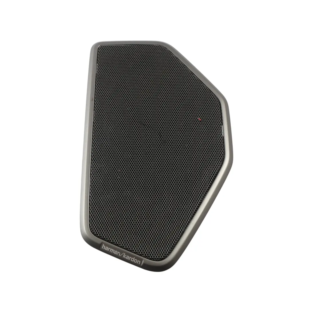 Griglia Copertura Altoparlante Posteriore Sinistra per BMW G20 G20 LCI F44 con numero di parte 7482401 BMW G20 G20 LCI F44 Griglia Copertura Altoparlante Posteriore Sinistra - SKU 7482401 - Numero di parte 7482401