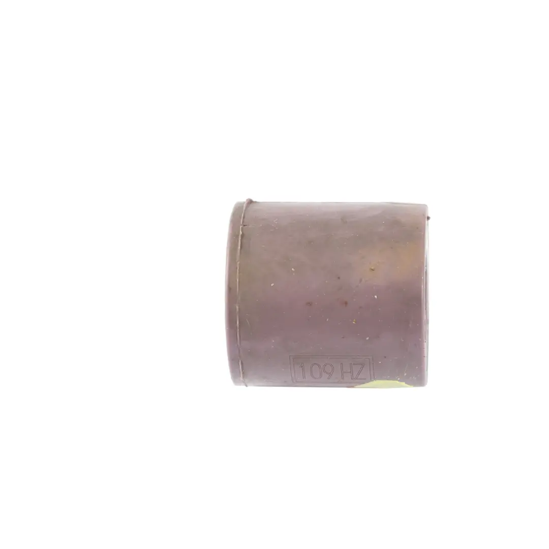 BMW F10 F87 M2 Exhaust Vibration Damper 109 Hz - SKU 7610167 - Part number 7610167
