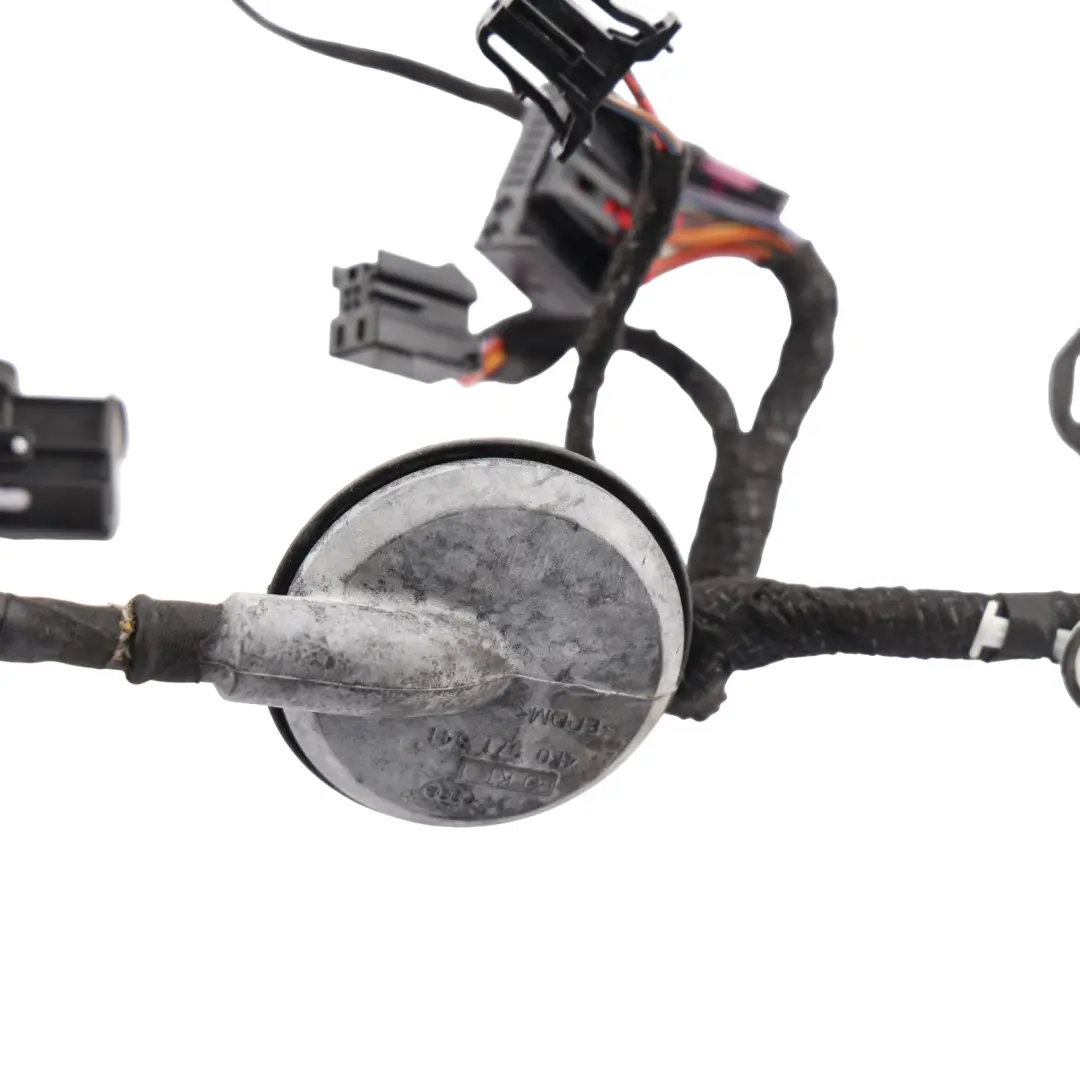 Audi A5 8F Cabriolet Front Door Wiring Loom Harness Driver Side 8F0971030BE - SKU 8F0971029BE - Part number 8F0971029BE