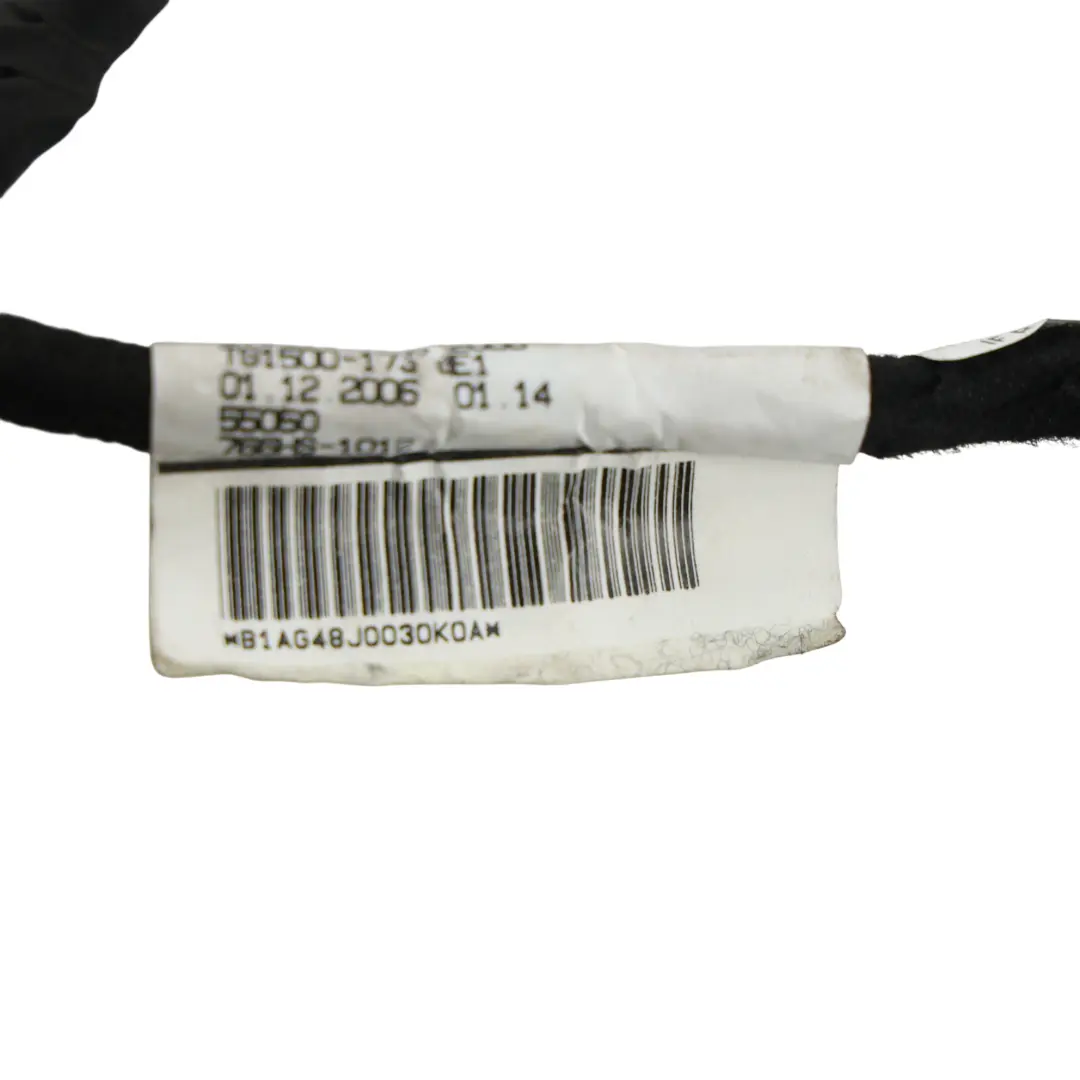 Audi TT MK2 8J Cableado Arnés Puerta Delantera Lado Pasajero - SKU 8J0971030K - Número de pieza 8J0971030K