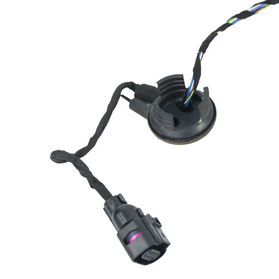 Audi S3 8V Front Door Wiring Loom Harness Electric Wire Driver's Side - SKU 8V4971029 - Part number 8V4971029