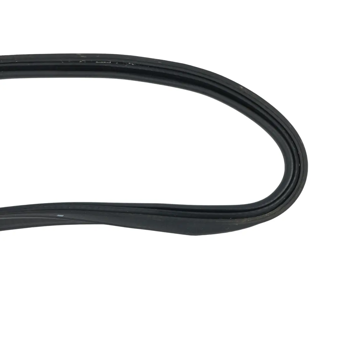 Audi A4 S4 B9 Limousine Kofferraumdeckel Gummidichtung - SKU 8W5827705D - Teilenummer 8W5827705D