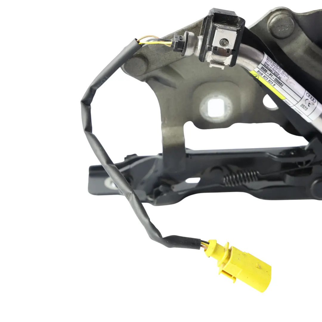 Cerniera Cofano Destra Nero Mitico Y9T 8W6823302E per Audi A5 F5 con numero di parte 8W6823823B Audi A5 F5 Cerniera Cofano Destra Nero Mitico Y9T 8W6823302E - SKU 8W6823302E-MYB1 - Numero di parte 8W6823823B