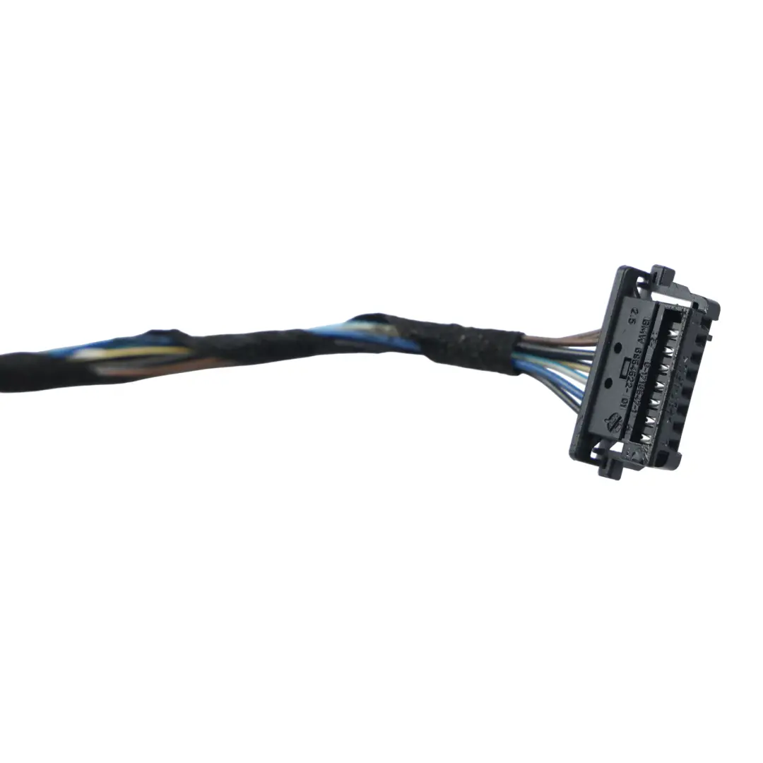 BMW X1 E84 Cablaggio Porta Lato Guida - SKU 9247075 - Numero di parte 9247075