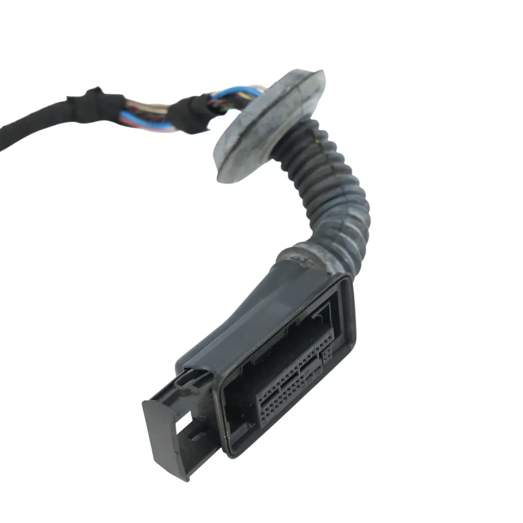 Front Door Wiring Cable Loom Harness Driver's Side to BMW F20 with Part number 9291958 BMW F20 Front Door Wiring Cable Loom Harness Driver's Side - SKU 9291958 - Part number 9291958