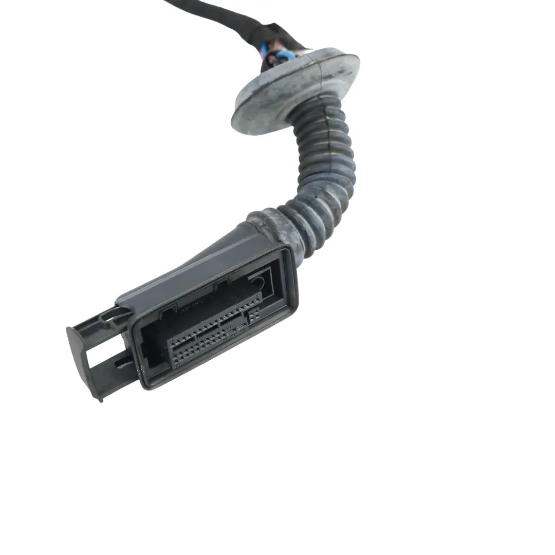 BMW F20 Front Door Wiring Cable Loom Harness Driver's Side - SKU 9291958 - Part number 9291958