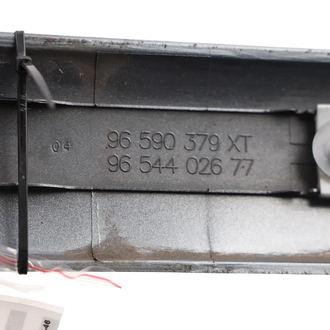 Door Moulding Trim Strip Rear Left N/S Grey to Citroën C4 Grand Picasso with Part number 96590379XT Citroën C4 Grand Picasso Door Moulding Trim Strip Rear Left N/S Grey - SKU 96590379XT-IRG - Part number 96590379XT