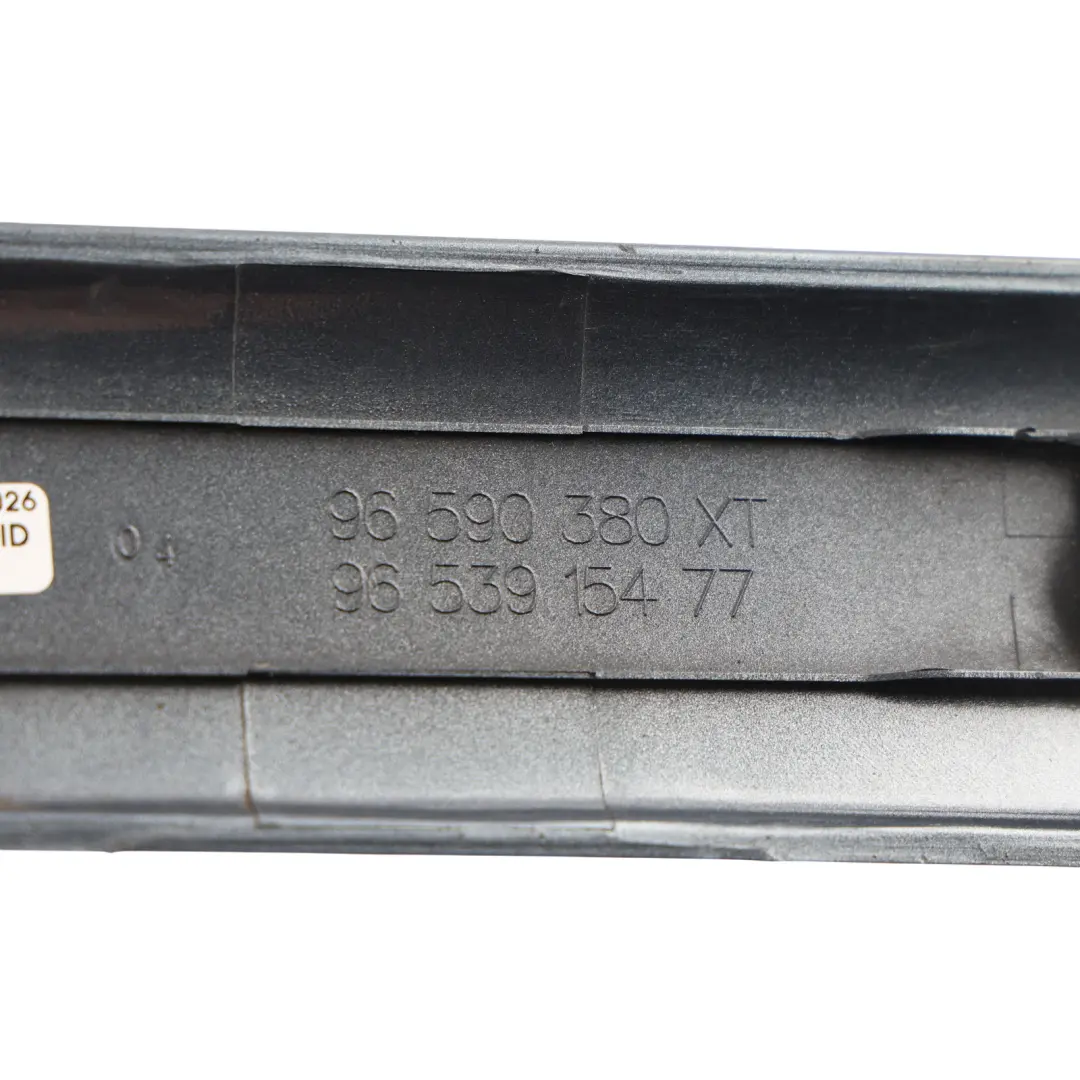 Door Moulding Trim Front Driver Side Grey to Citroën C4 Grand Picasso with Part number 96590380XT Citroën C4 Grand Picasso Door Moulding Trim Front Driver Side Grey - SKU 96590380XT-IRG - Part number 96590380XT