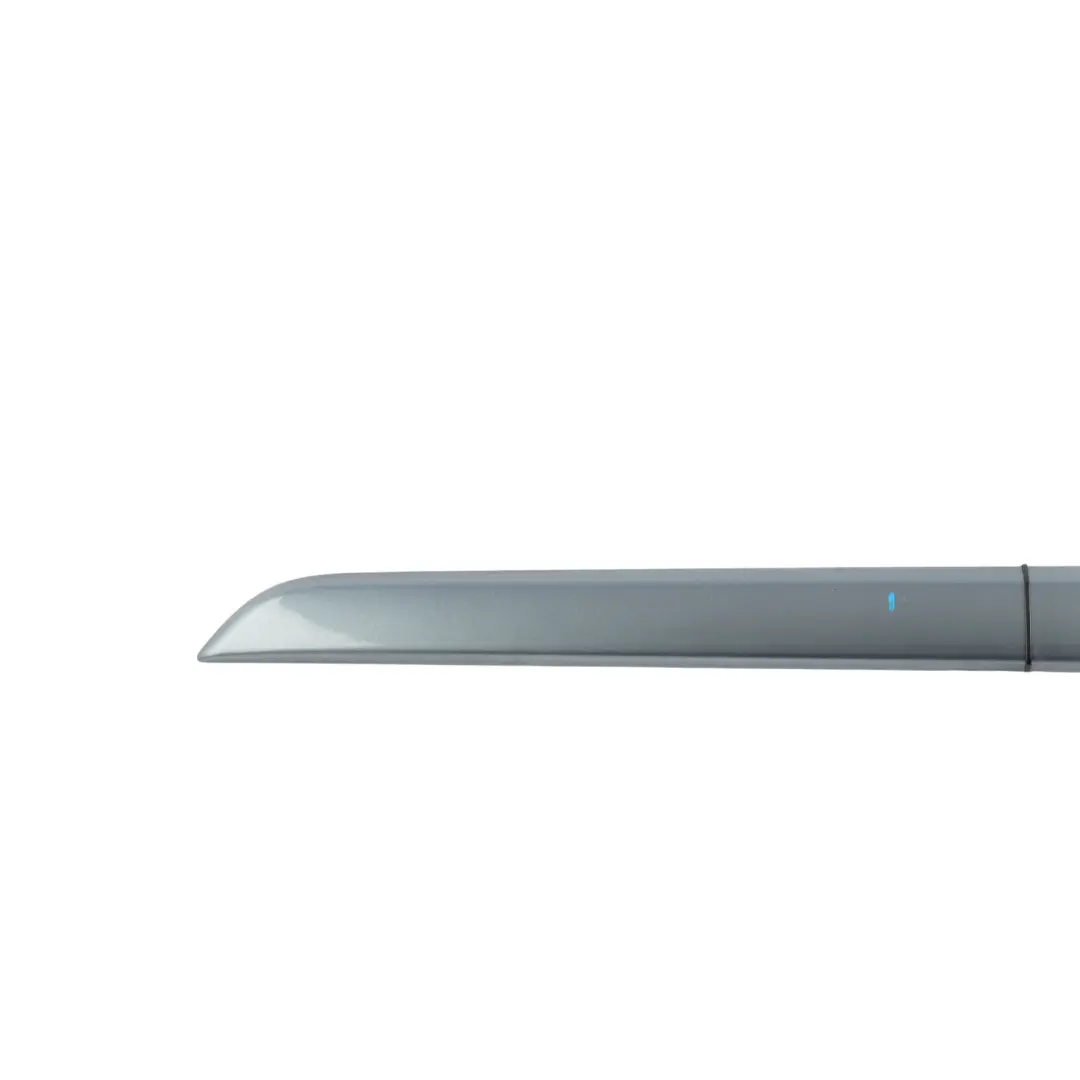 Citroën C4 Grand Picasso Door Moulding Strip Trim Front Left N/S Grey - SKU 96590382XT-IRG - Part number 96590382XT