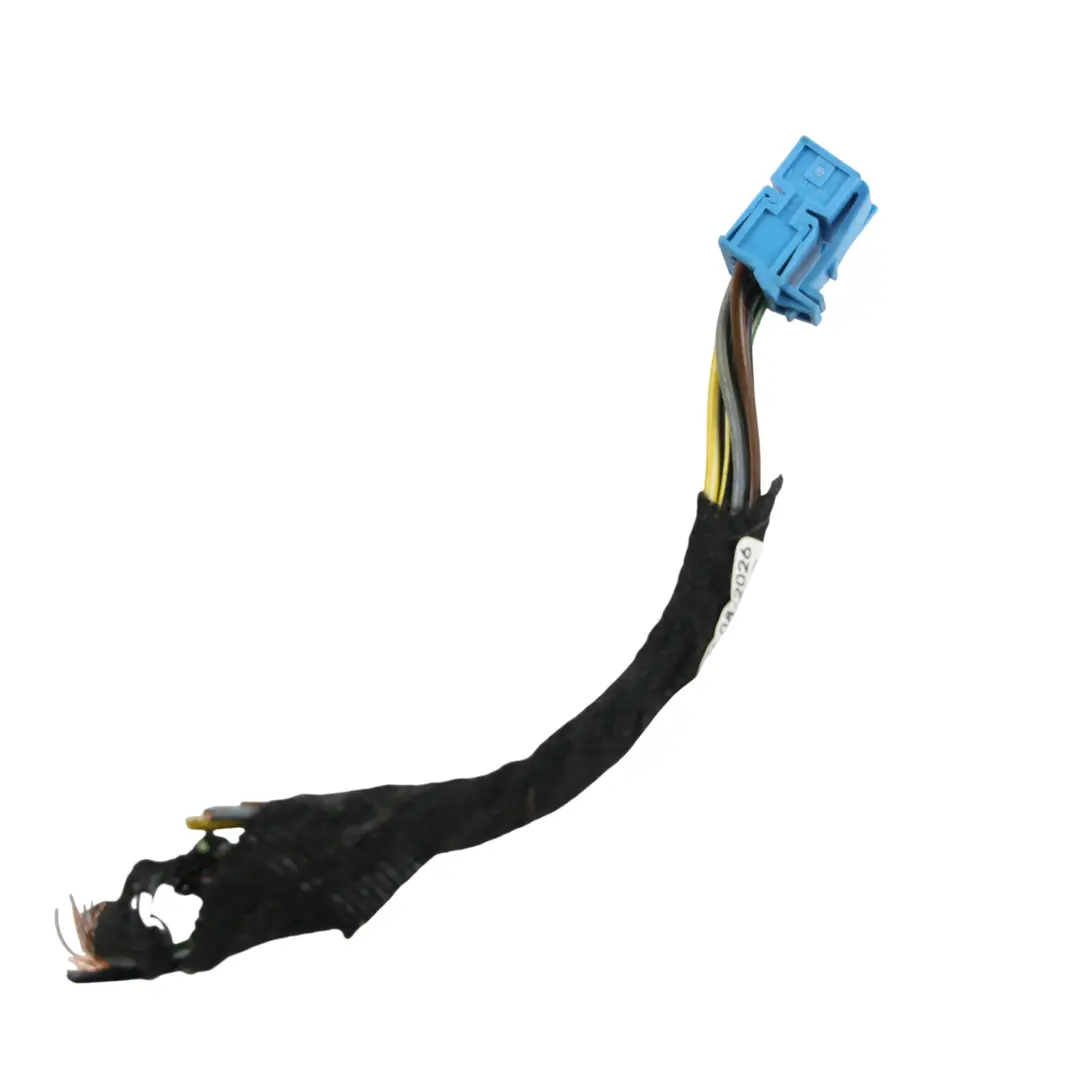 Mercedes W176 Cable Cableado Luz Trasera Panel Lateral Izquierdo - SKU A1769065000-2 - Número de pieza A1769065000