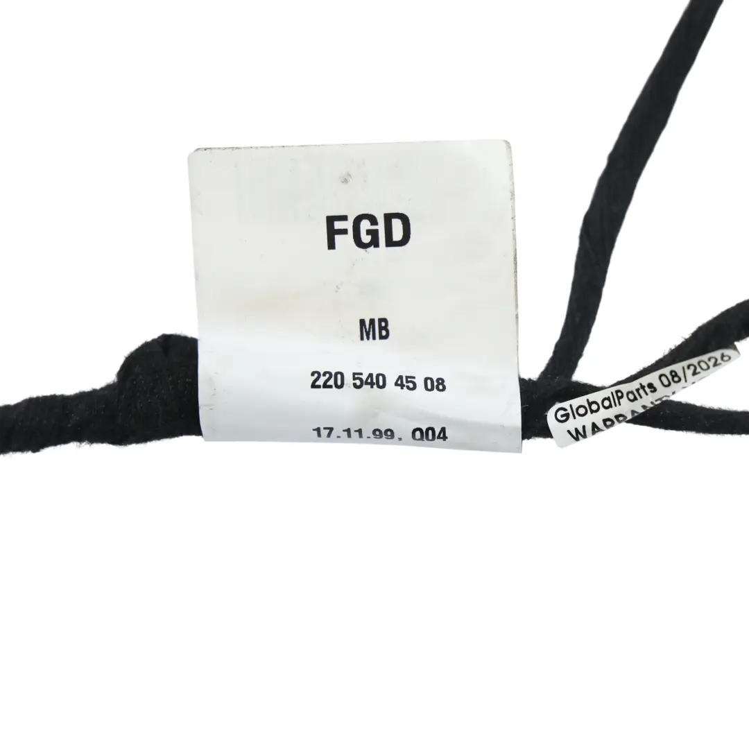 Mercedes W220 Cableado Arnés Puerta Trasera Izquierda - SKU A2205404508 - Número de pieza A2205404508