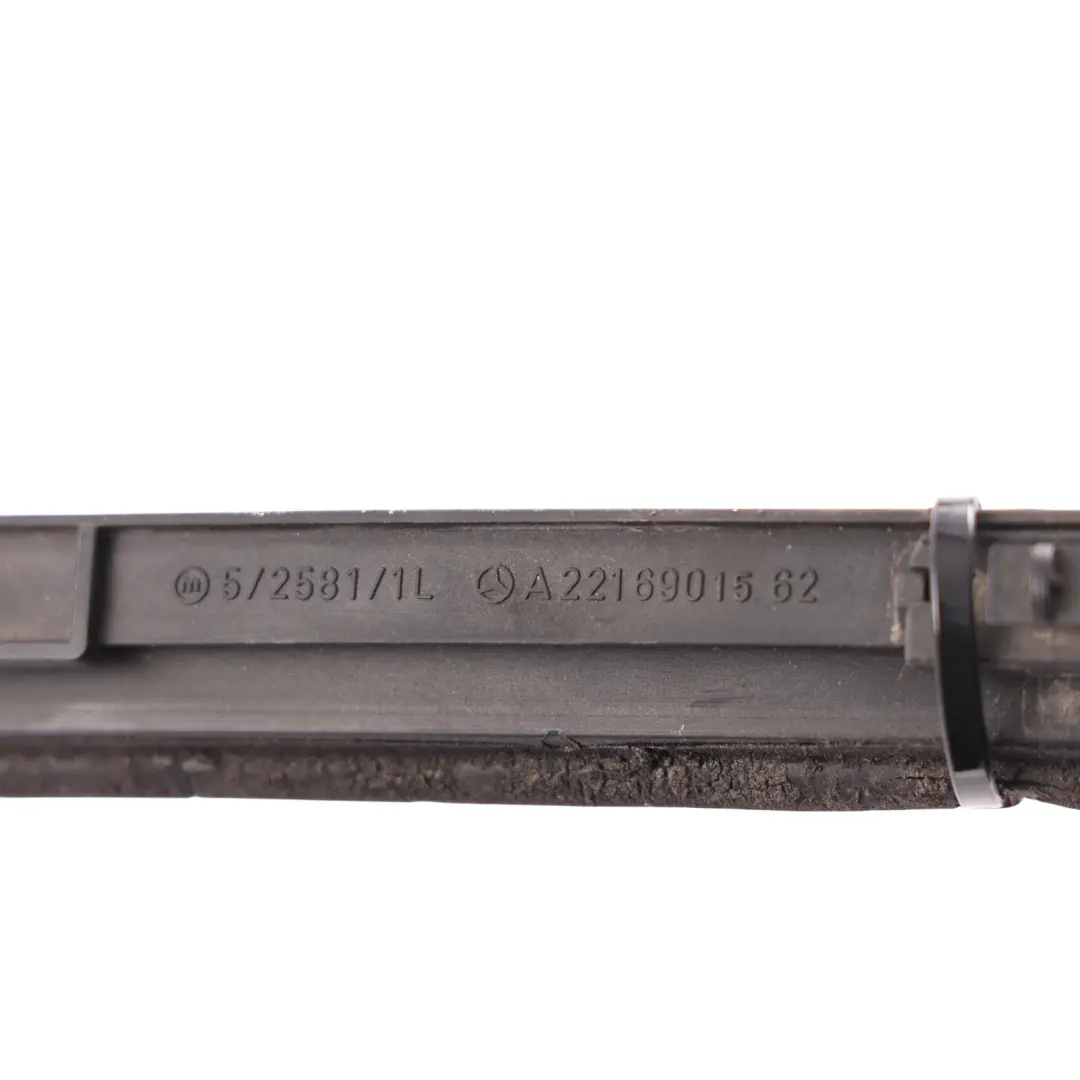 Mercedes W221 Panel Pokrywa Listwa Drzwi Tylne Lewe Dolne - SKU A2216901562 - Numer Części A2216901562