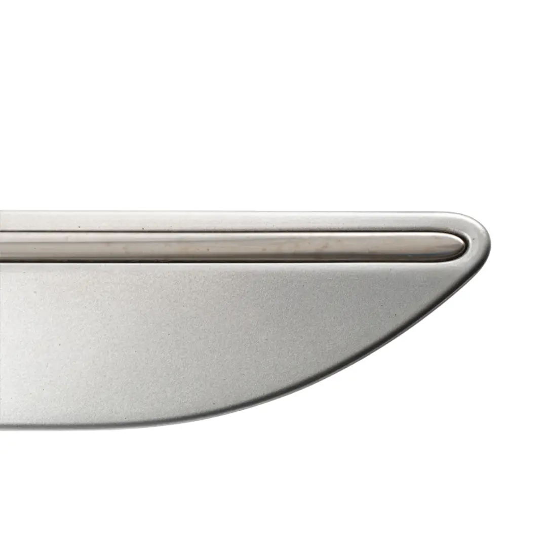 Mercedes W251 Door Moulding Trim Rear Left N/S Iridium Silver - 775 - SKU A2516902562-IRS - Part number A2516902562