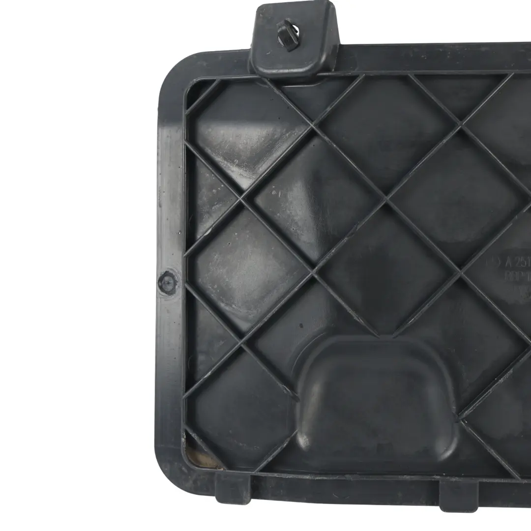 Mercedes V251 Parafango Anteriore Sportello Copertura Sinistro - SKU A2518841422 - Numero di parte A2518841422
