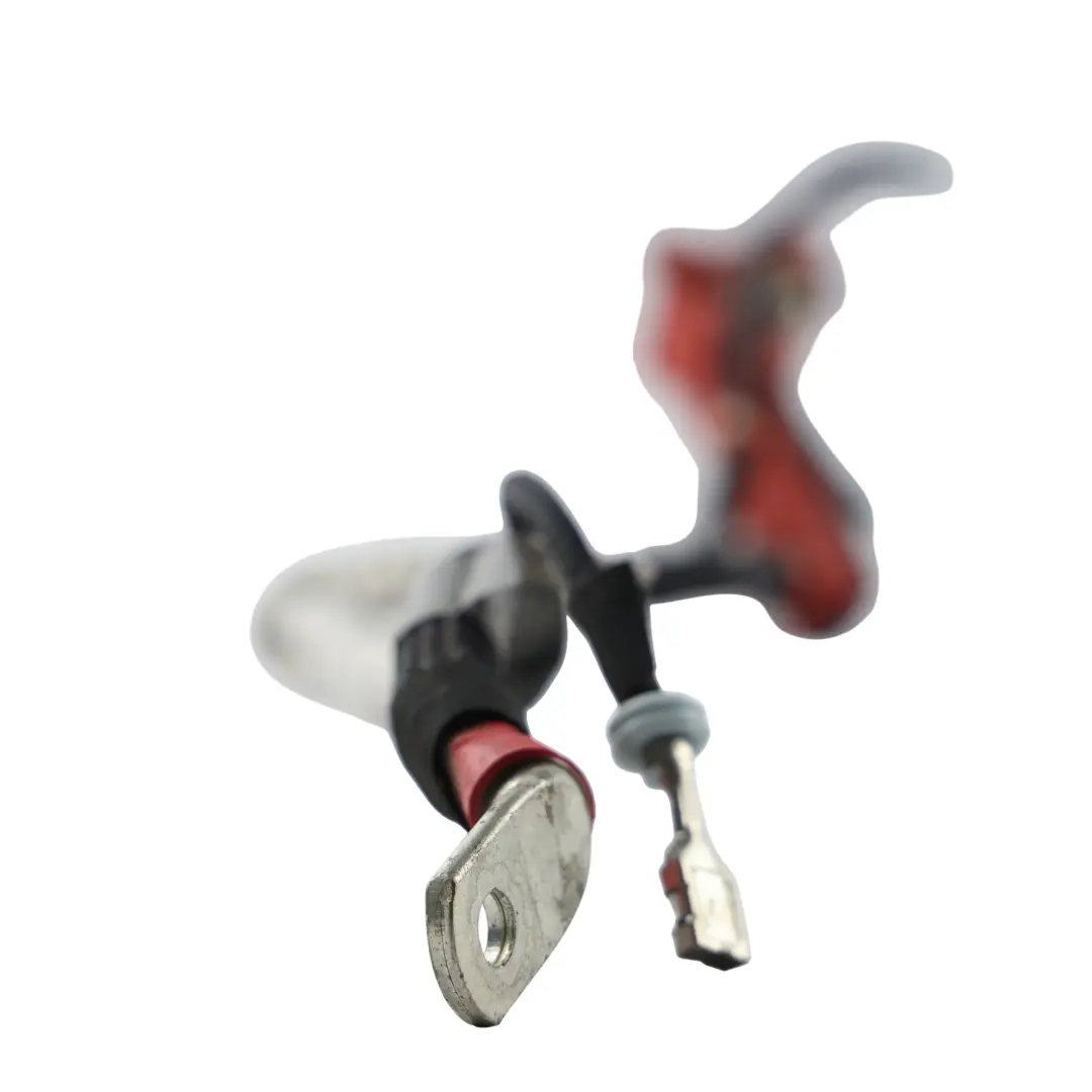 Land Rover Range Rover Velar L560 Cablaggio Batteria 2.0 - SKU M8A2-14305-CB - Numero di parte M8A2-14305-CB