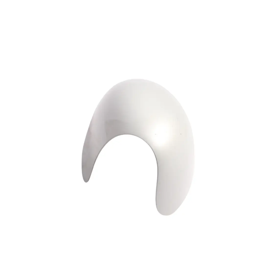 Cap Casing Right O/S Mirror Wing Pure Silver 900 to Mini Cooper R50 R53 Cover with Part number 0029989 Mini Cooper R50 R53 Cover Cap Casing Right O/S Mirror Wing Pure Silver 900 - SKU RHD-0029989-PS - Part number 0029989