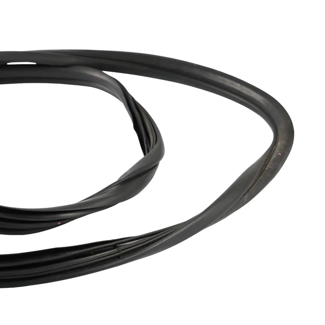 Ford Ranger Mk4 Side Door Seal Rubber Gasket Rear Left N/S 6M34-J29905-AA - SKU 1446938 - Part number 1446938