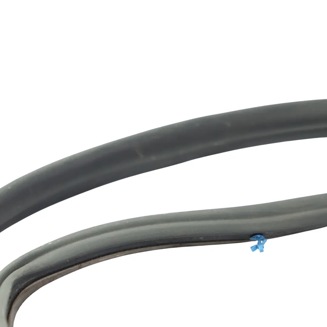 Ford S-Max Türdichtung Gummi Vorne Links 6M21-R20709-AJ - SKU 1491679 - Teilenummer 1491679