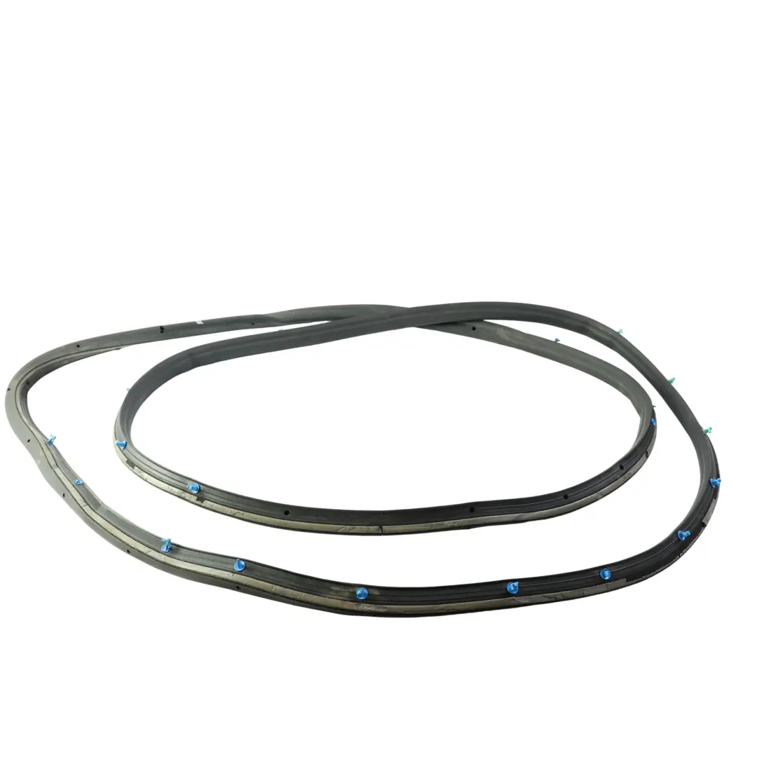Ford S-Max Türdichtung Gummi Vorne Links 6M21-R20709-AJ - SKU 1491679 - Teilenummer 1491679