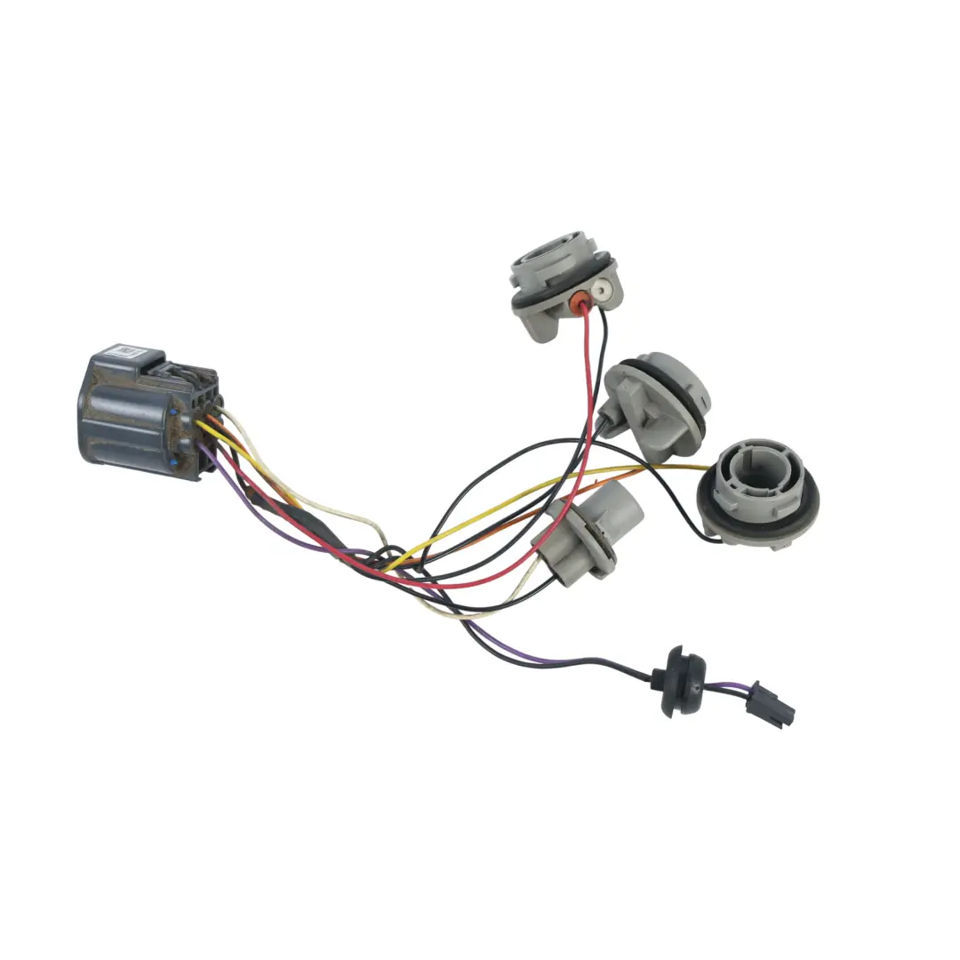 Mk3 Cablaggio Fanale Posteriore per Ford Focus con numero di parte 1709956 Ford Focus Mk3 Cablaggio Fanale Posteriore - SKU 1709956 - Numero di parte 1709956