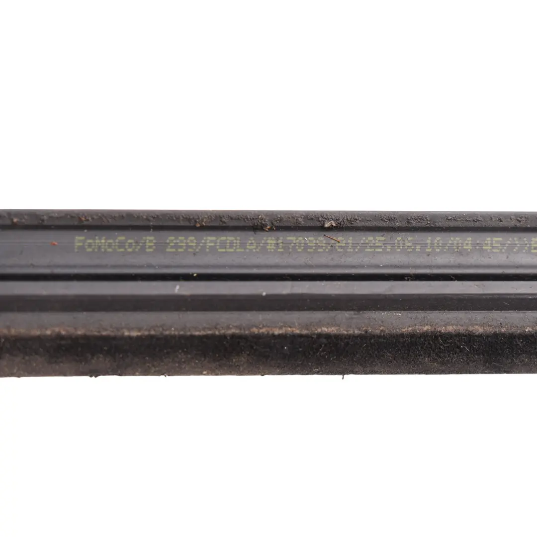Ford Fiesta Mk7 Front Door Exterior Belt Gasket Seal Left N/S - SKU 1763369 - Part number 1763369