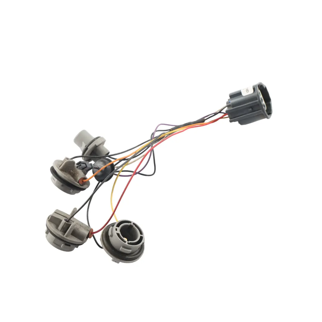 Mk3 Rear Tail Light Lamp Wiring Plug Socket Right O/S BM51-13404-AK to Ford Focus with Part number 1825318 Ford Focus Mk3 Rear Tail Light Lamp Wiring Plug Socket Right O/S BM51-13404-AK - SKU 1825318-1 - Part number 1825318