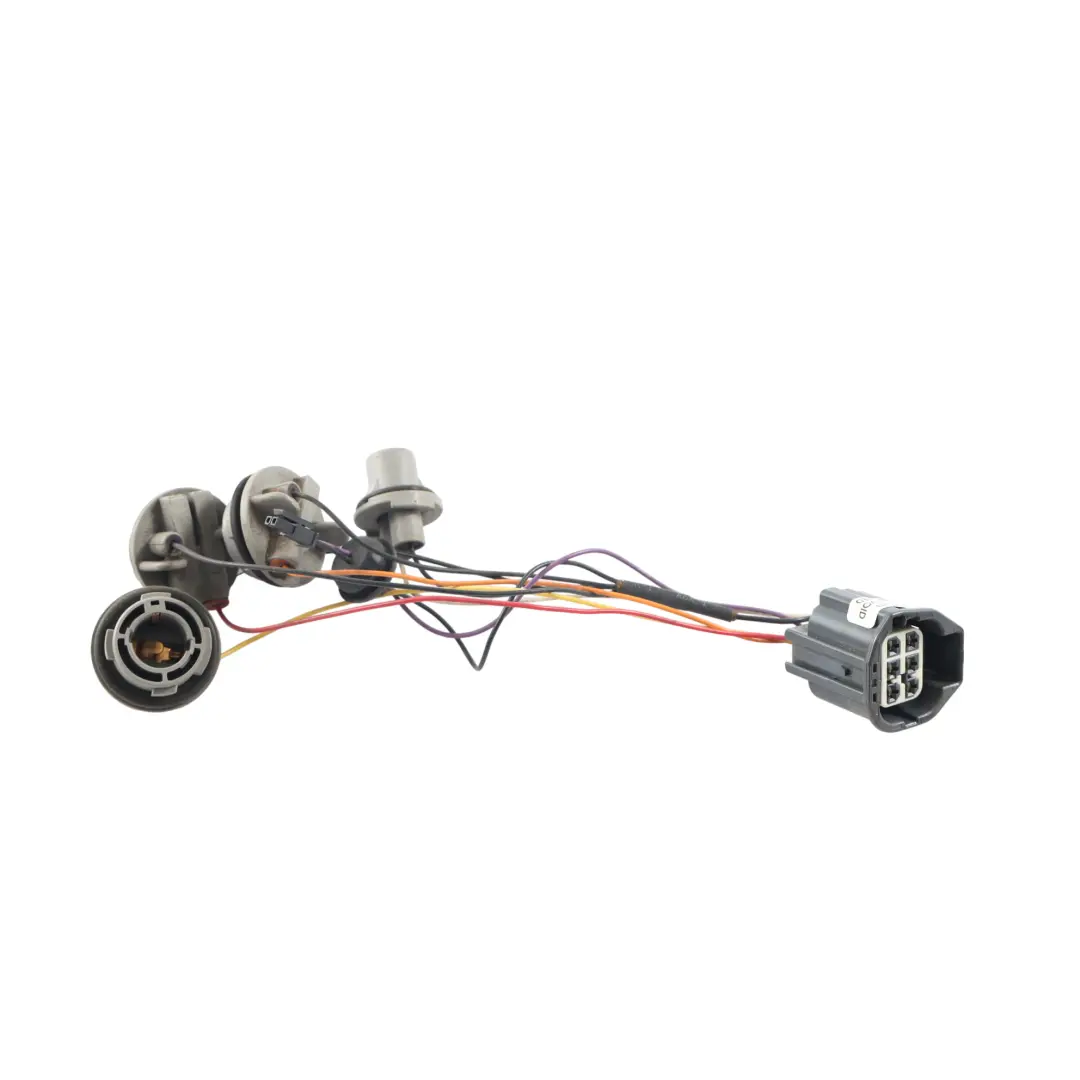 Mk3 Rear Tail Light Lamp Wiring Plug Socket Right O/S BM51-13404-AK to Ford Focus with Part number 1825318 Ford Focus Mk3 Rear Tail Light Lamp Wiring Plug Socket Right O/S BM51-13404-AK - SKU 1825318-1 - Part number 1825318