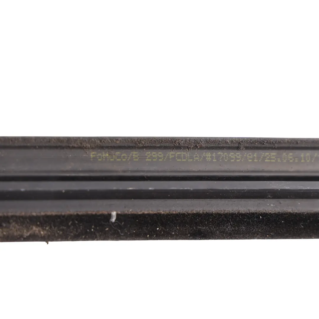 Ford Fiesta Mk7 Door Window Outer Weatherstrip Rear Left N/S - SKU 1893062-1 - Part number 1893062