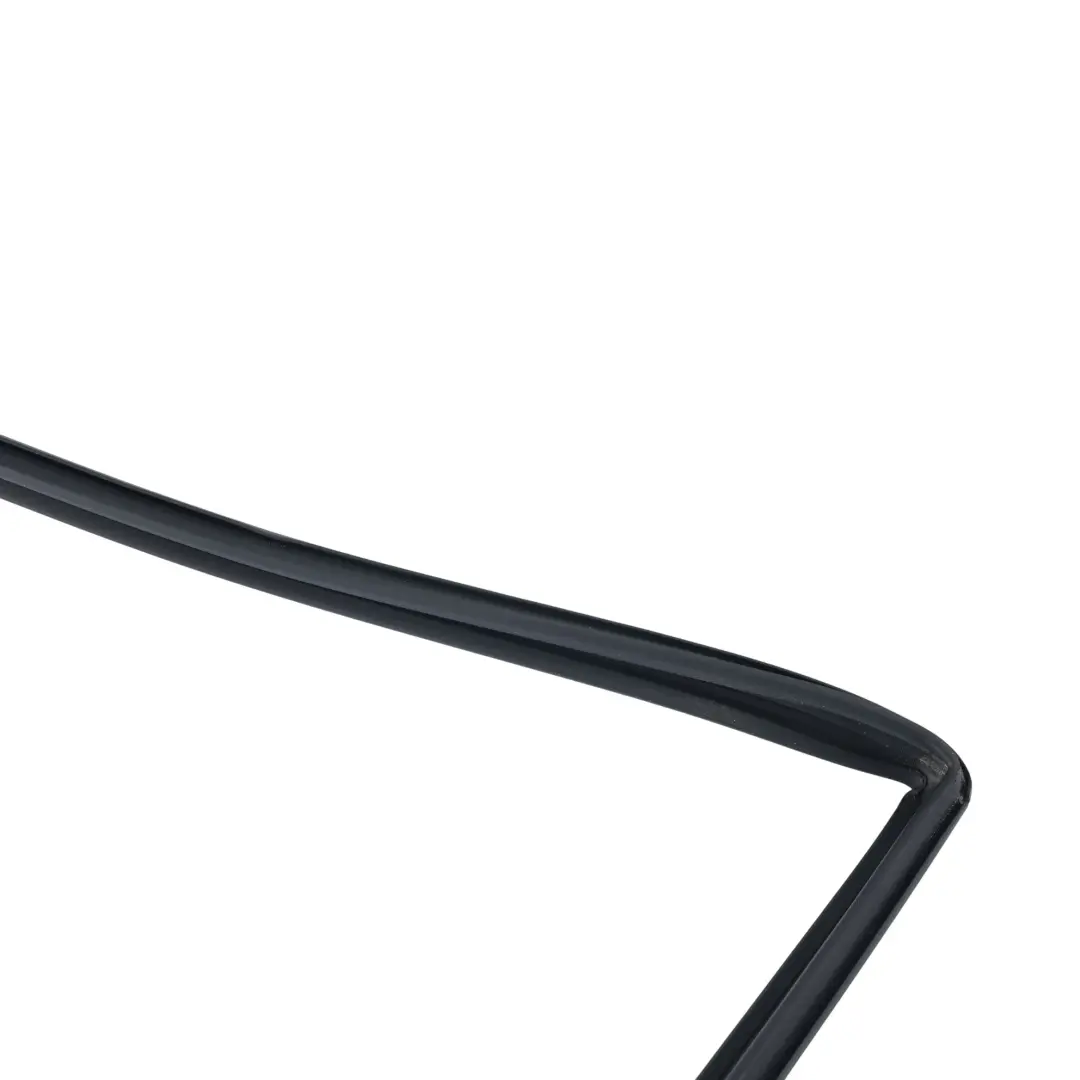 Ford Fiesta ST MK8 Front Door Window Seal Gasket Frame Left N/S H1BB-A21511-AE - SKU 2412549 - Part number 2412549