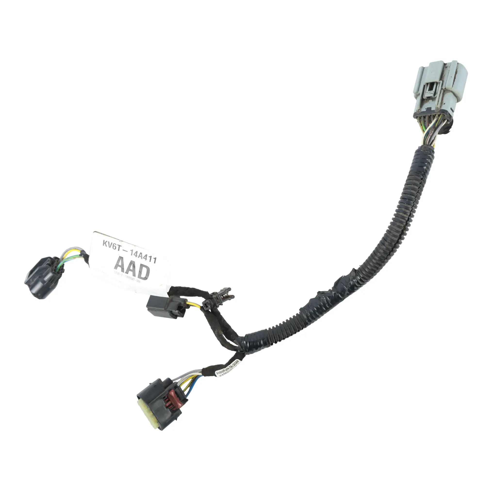 Ford Transit Connect Mk2 EcoBlue Diesel 1.5 Mazo de Cables 2569987
