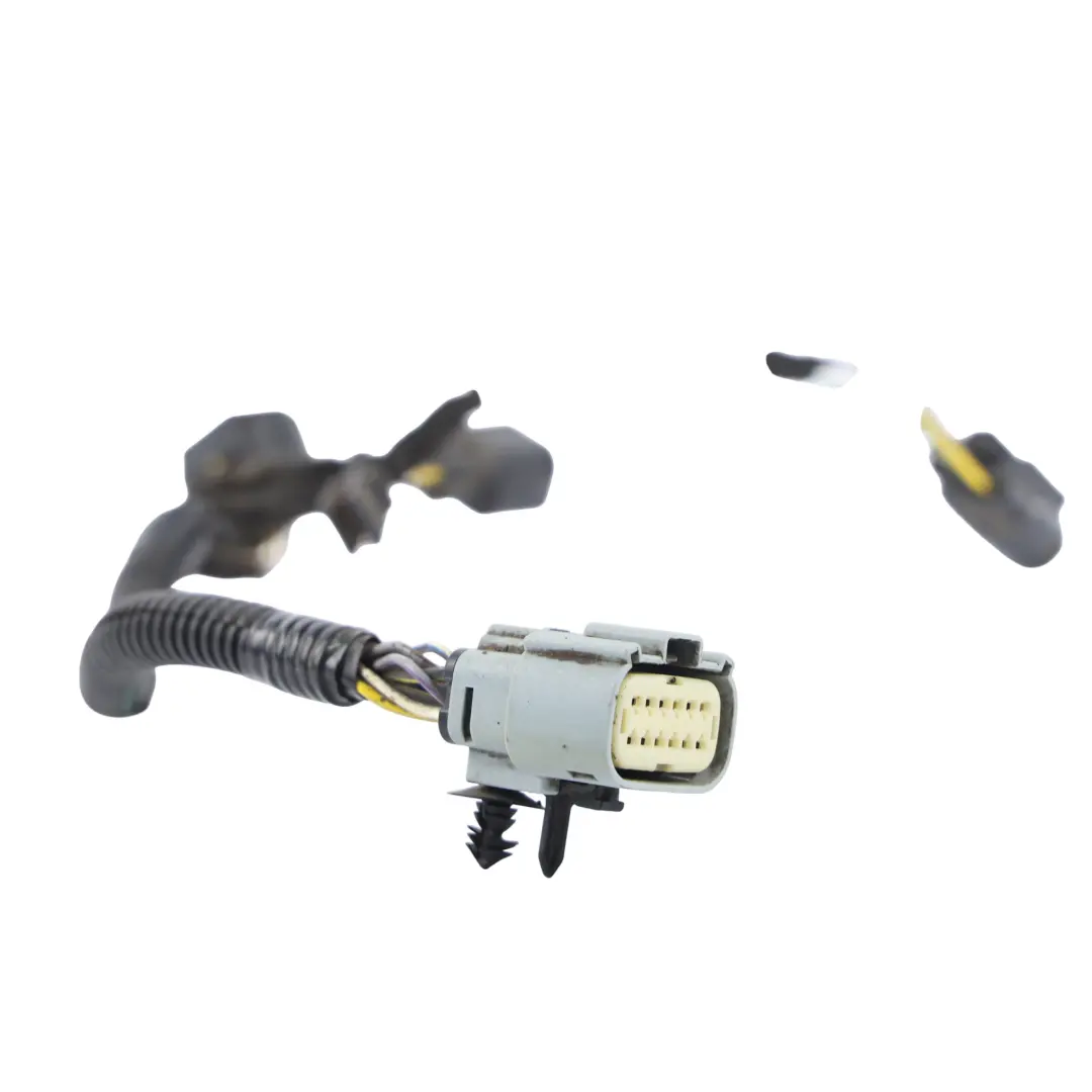 Mk2 EcoBlue Diesel 1.5 Kabelbaum für Ford Transit Connect mit Teilenummer 2569987 Ford Transit Connect Mk2 EcoBlue Diesel 1.5 Kabelbaum - SKU 2569987 - Teilenummer 2569987