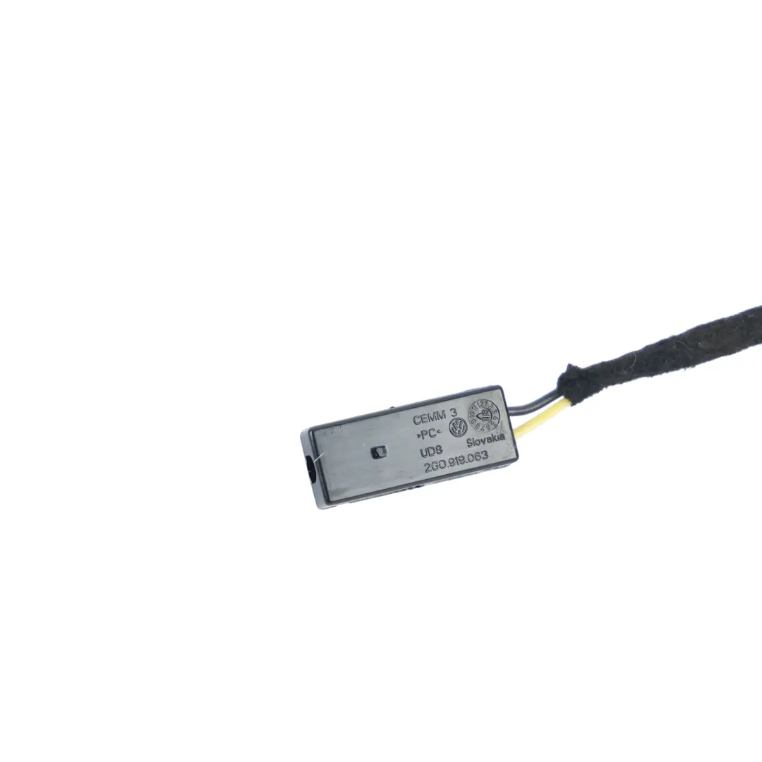 Volkswagen Polo Mk6 Door Handle Ambient Light Wiring Front Left N/S - SKU 2G0919415 - Part number 2G0919415