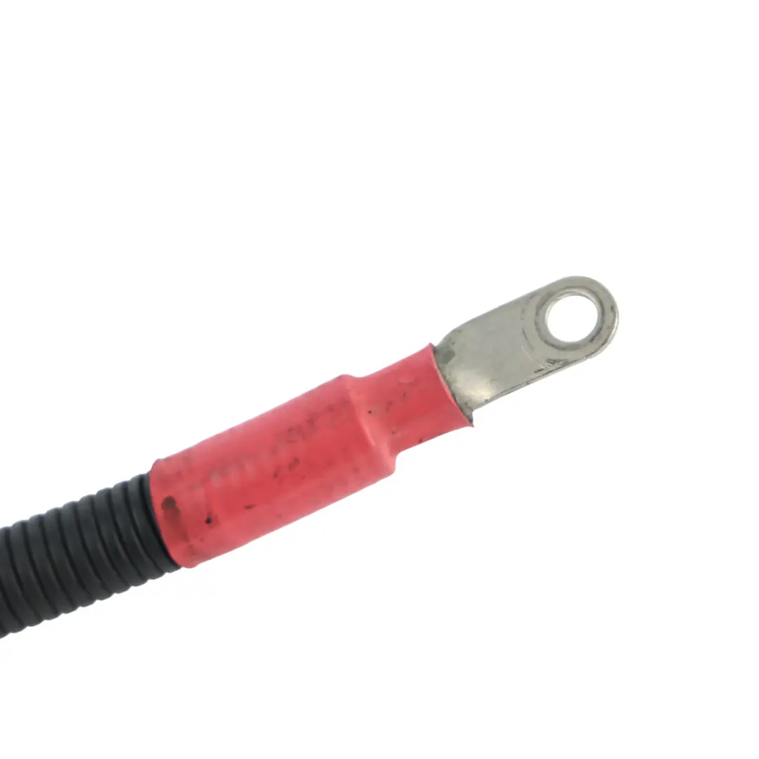 Cablaggio Motorino Avviamento Alternatore Accensione per Fiat Ducato con numero di parte 46861380 Fiat Ducato Cablaggio Motorino Avviamento Alternatore Accensione - SKU 46861380 - Numero di parte 46861380