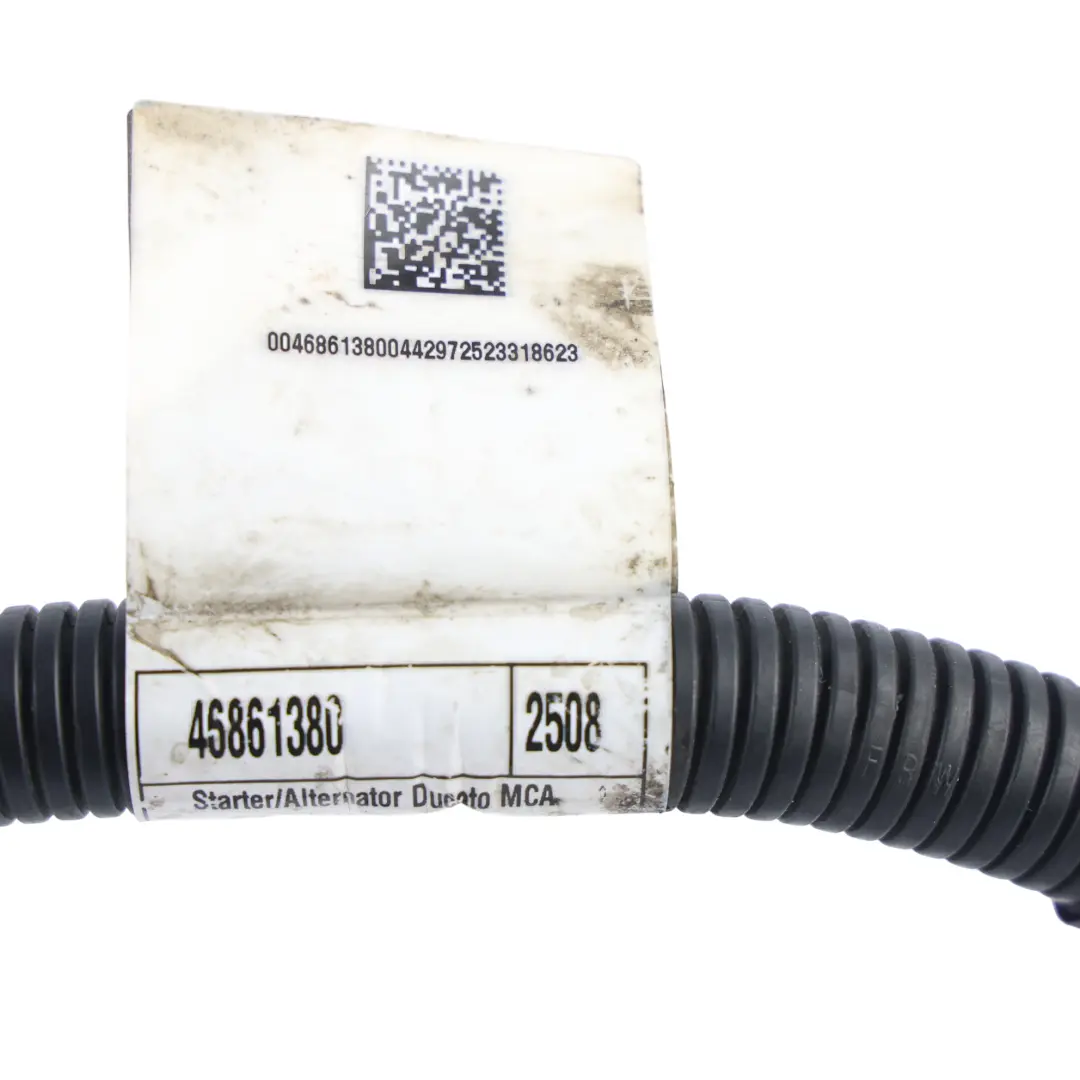 Cablaggio Motorino Avviamento Alternatore Accensione per Fiat Ducato con numero di parte 46861380 Fiat Ducato Cablaggio Motorino Avviamento Alternatore Accensione - SKU 46861380 - Numero di parte 46861380