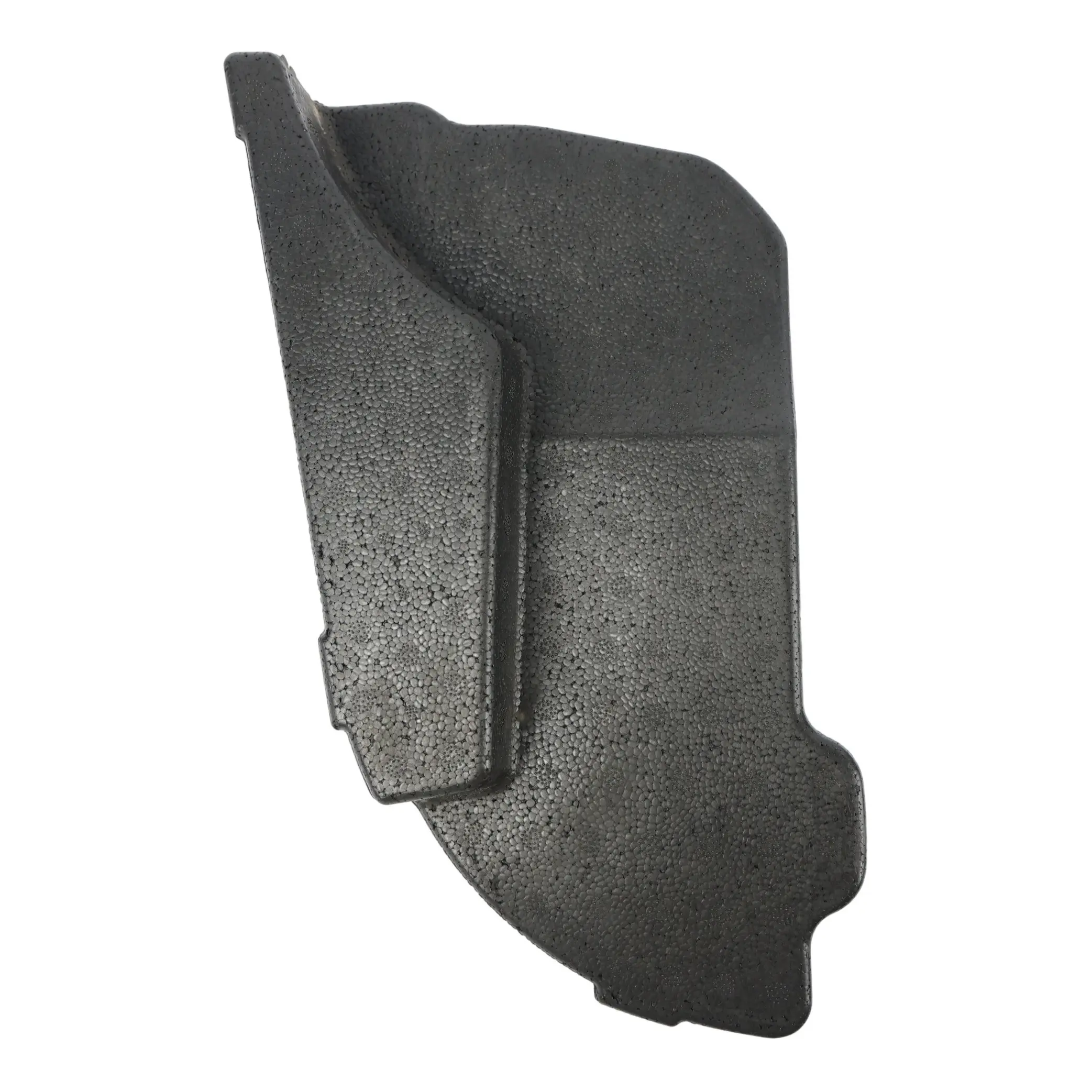 Ford Fiesta ST Mk8 Isolante Schiuma Porta Anteriore Sinistra H1BB-B211B15-AC