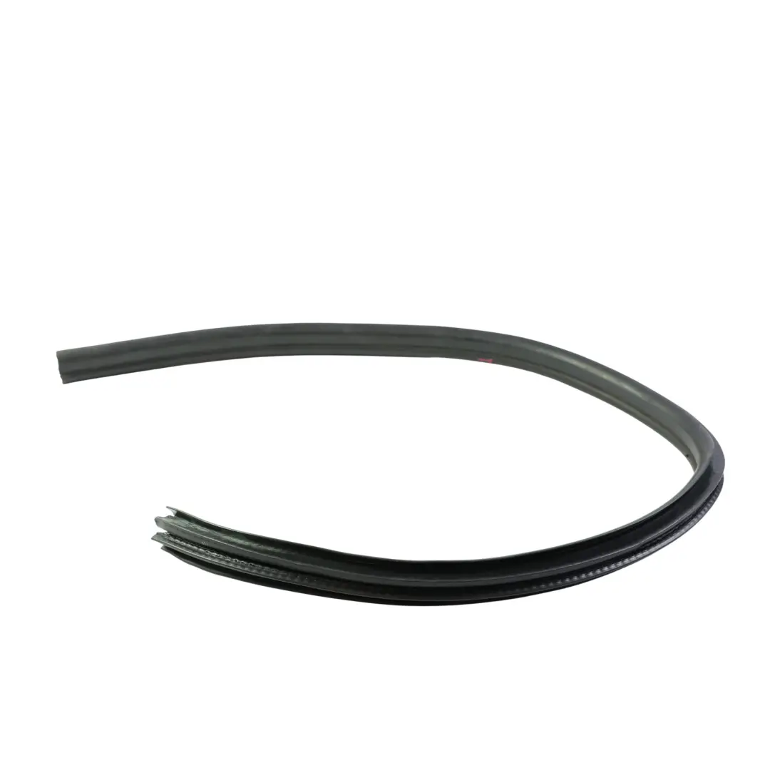 Mini Cabrio F57 LCI F67 Front Door Seal Rubber Gasket Left Right N/O/S - SKU 5A505C8 - Part number 5A505C8