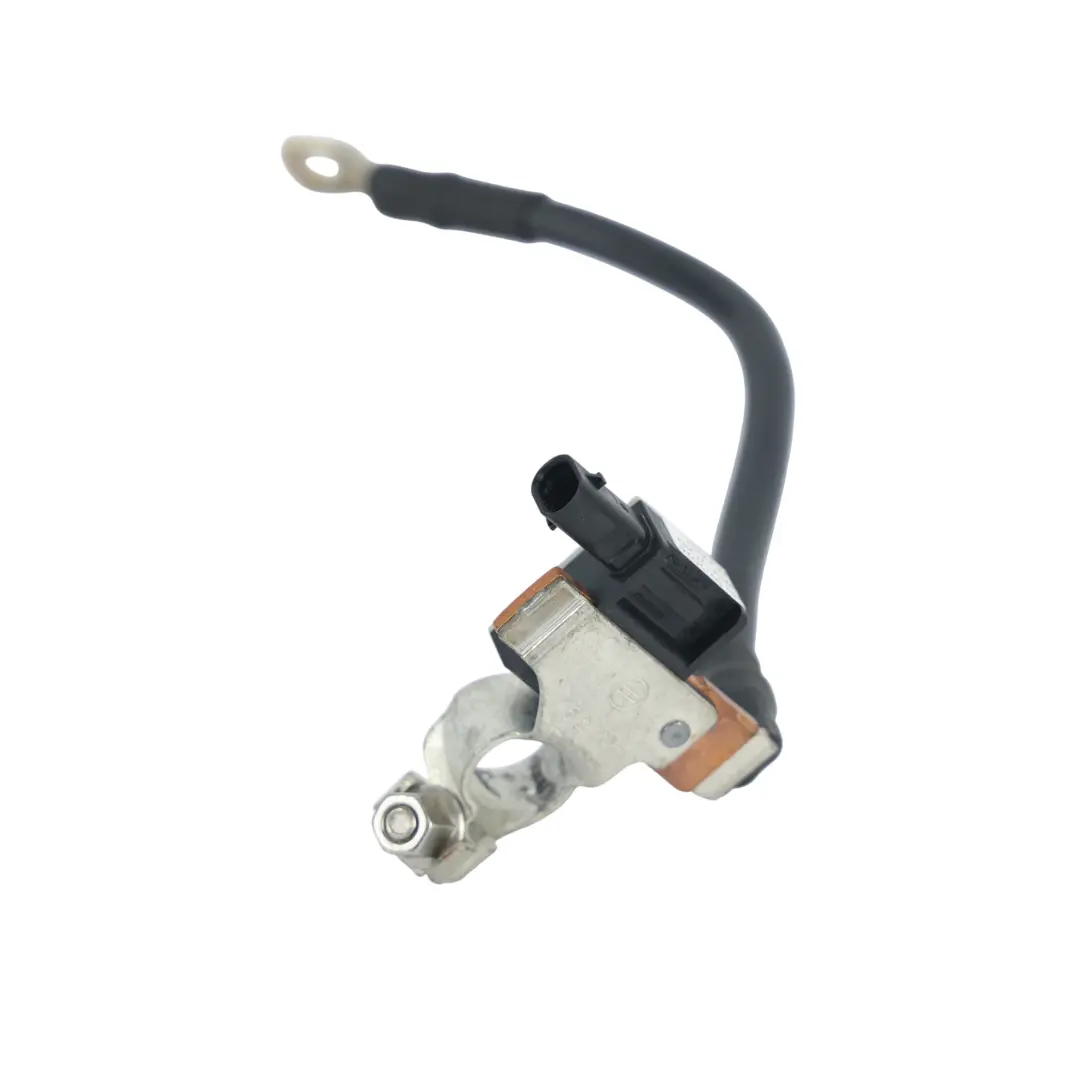 Audi RS3 8Y Negative Battery Terminal Cable Control Unit Cable - SKU 5WA915181A - Part number 5WA915181A